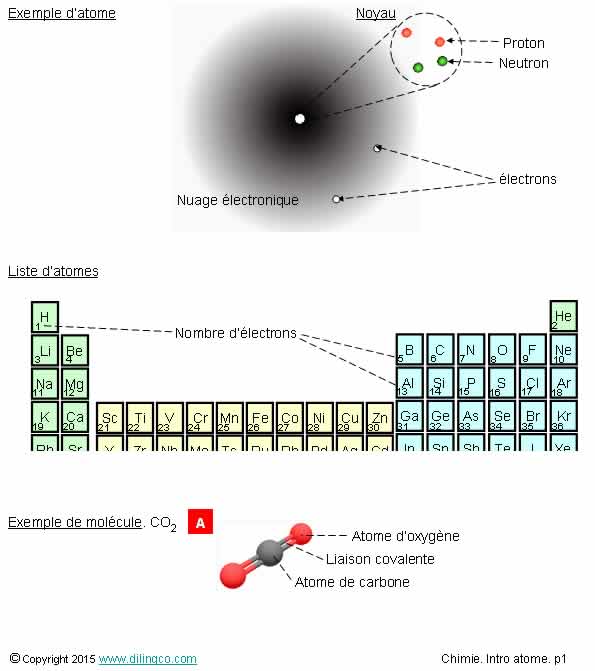 Atome noyau proton neutron