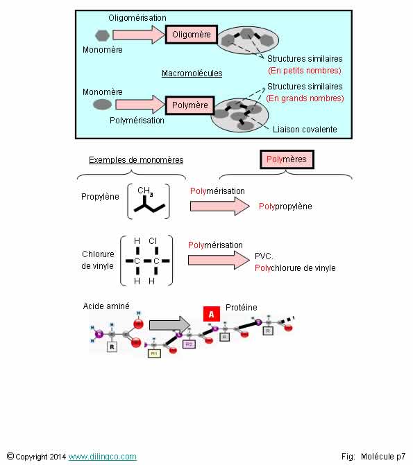  Oligomre polymre 