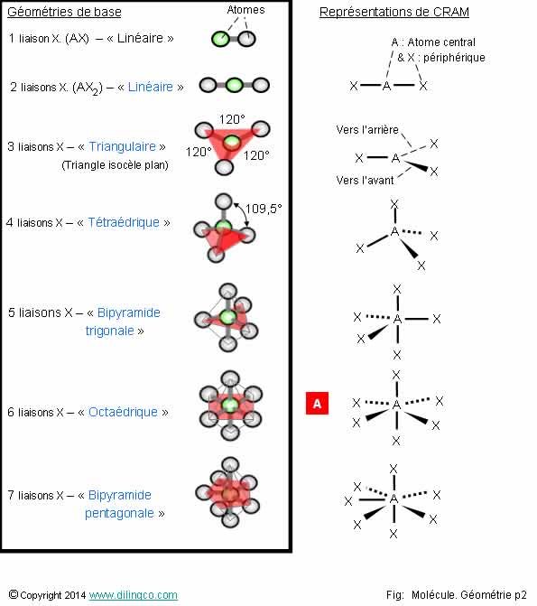  Gomtries molculaires de base 