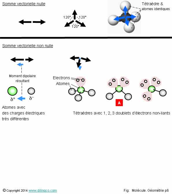  molcule gomtrie vectorielle  