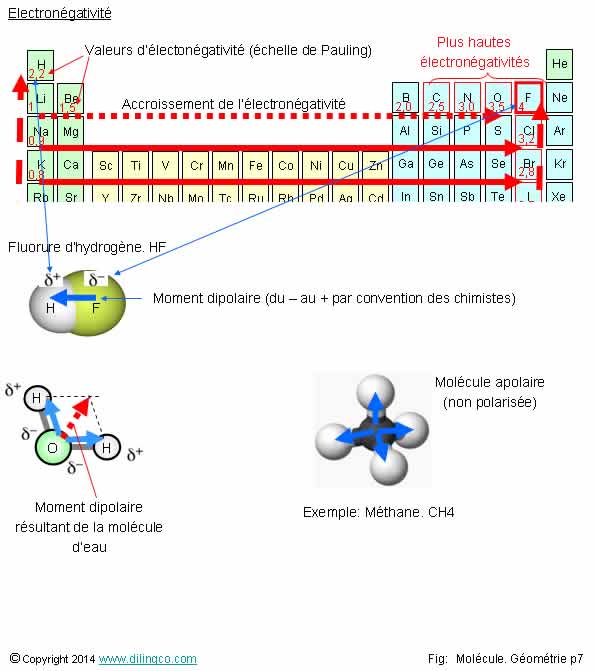  Electrongativit et polarit  