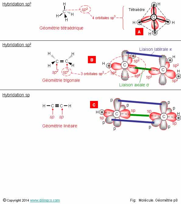 Gomtrie et hybridation