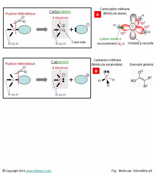 Carbanion Carbocation 