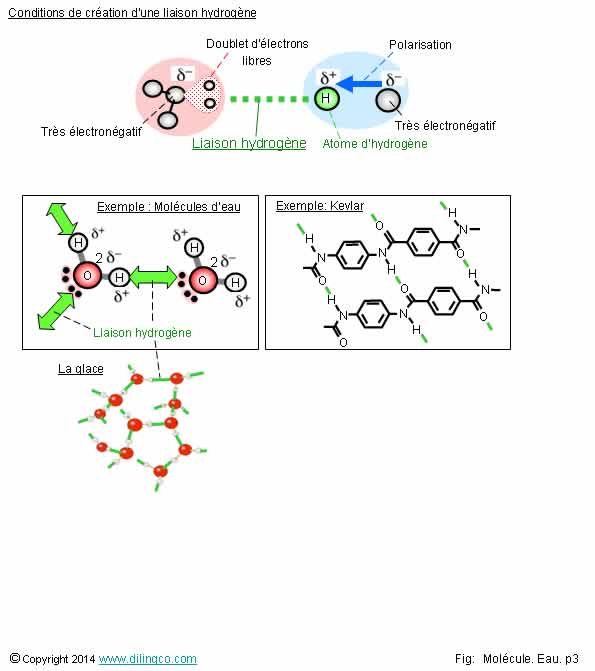 Liaison hydrogne 