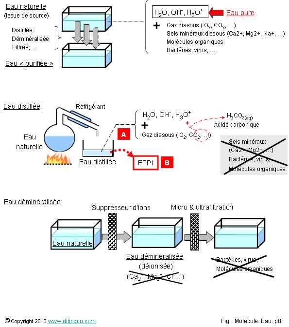  Puret de l'eau  