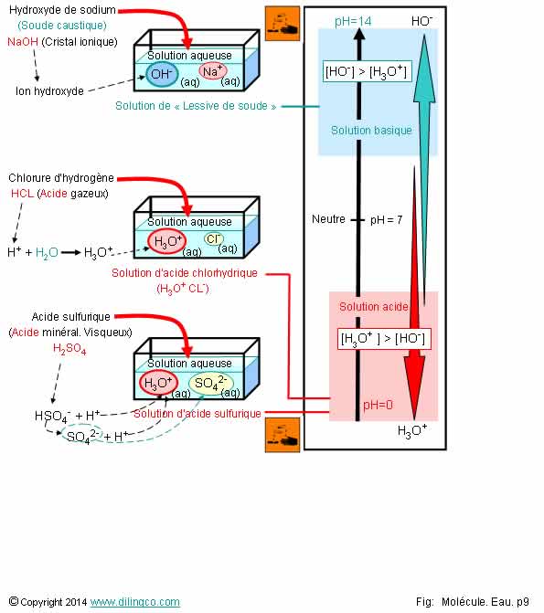  Solution acide basique  