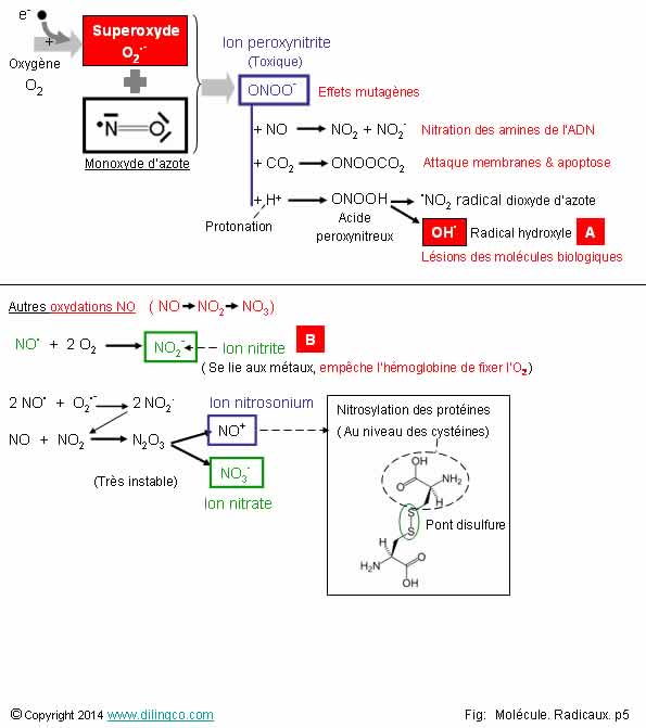 Oxydation monoxyde d'azote   