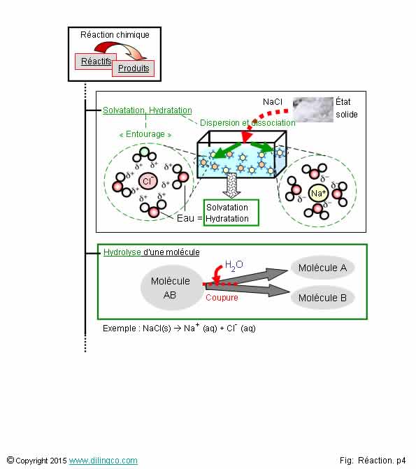  Hydratation solvatation hydrolyse  