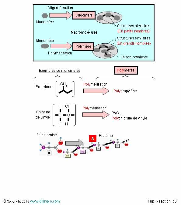 Ractions de polymrisation  