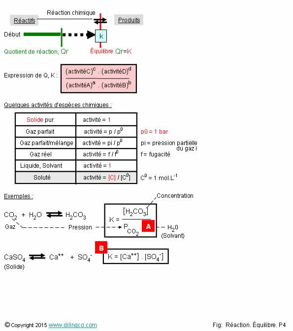  Activits espces chimiques  