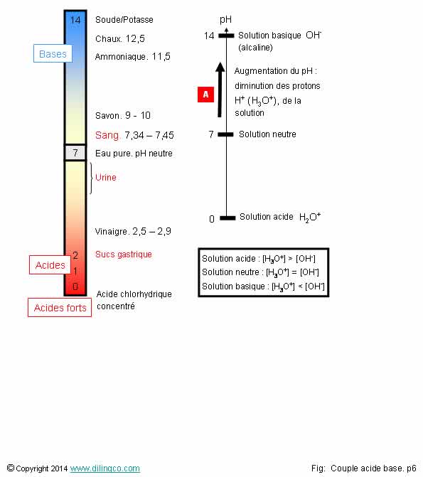 Echelle des pH potentiel hydrogne 