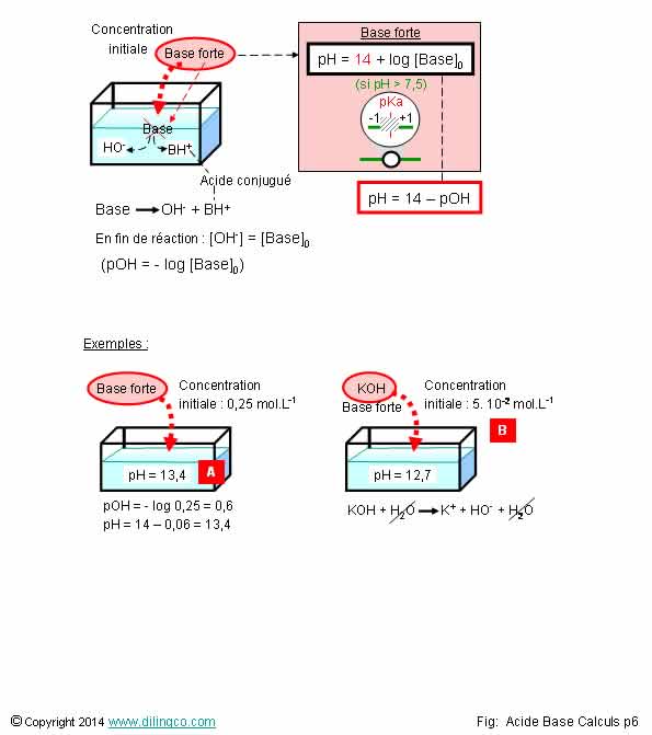  Calcul ph base forte