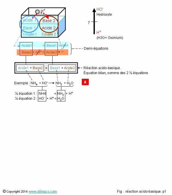 Ractions acido-basiques