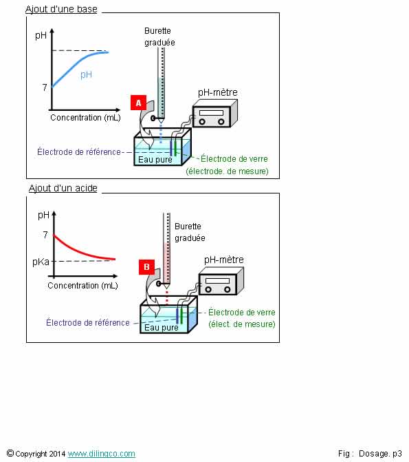 volution du pH