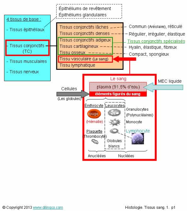 WEB Links h3_1